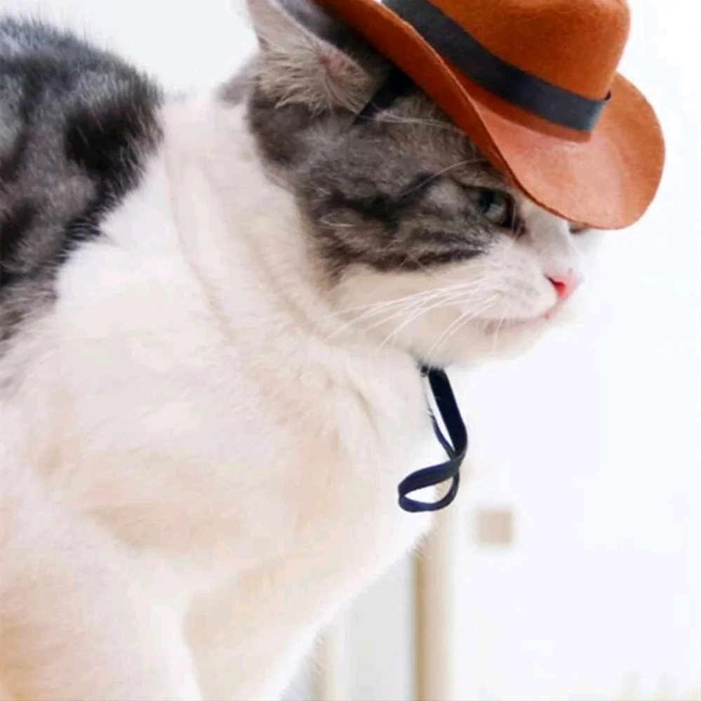 Cowboy hat for small pets